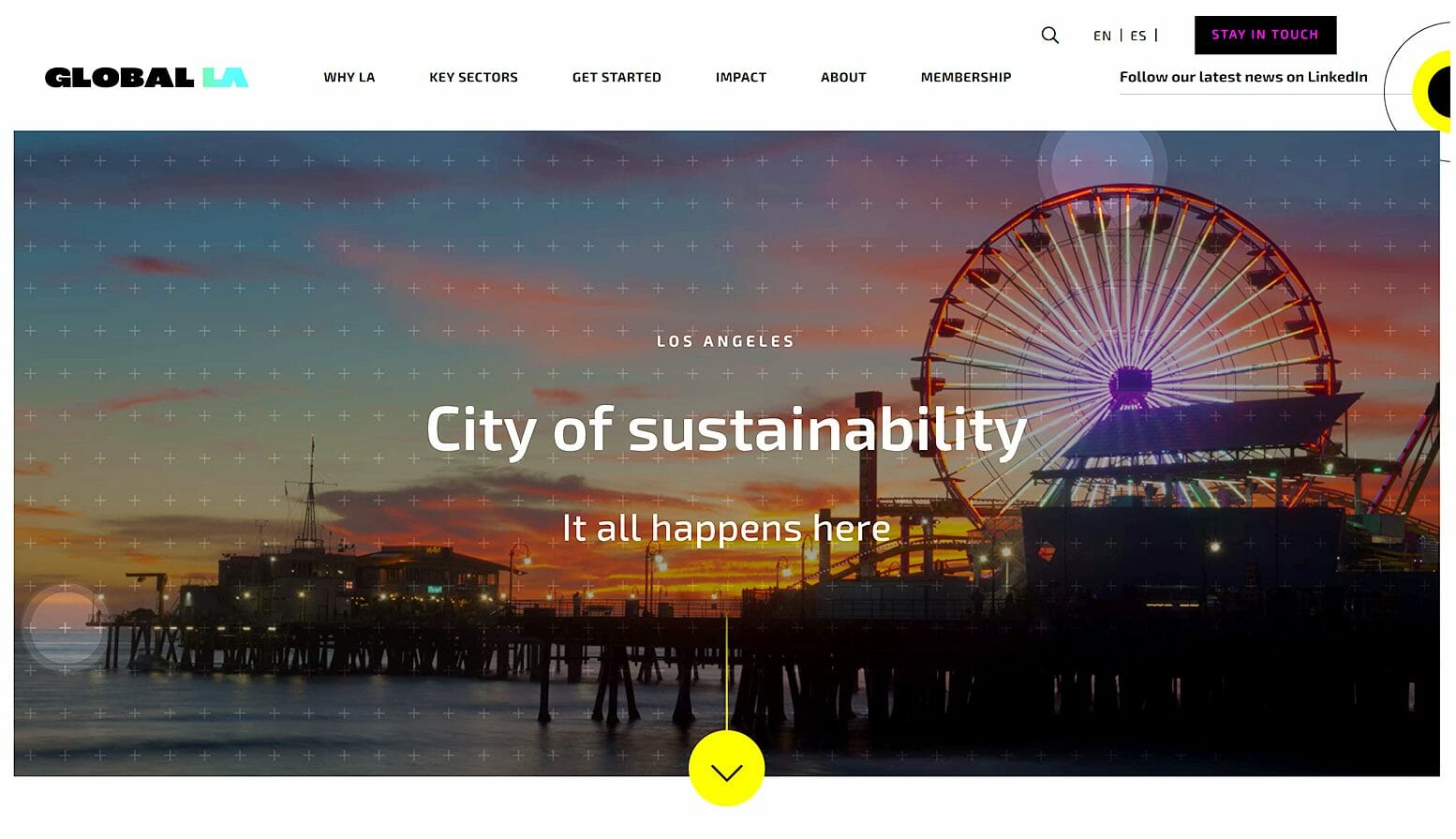 International Business Incubator Web Design